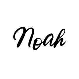 Naam Strijkapplicatie |  Noah