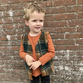 Gilet | Teddy check donkergroen