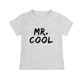 Strijkapplicatie | mr. cool