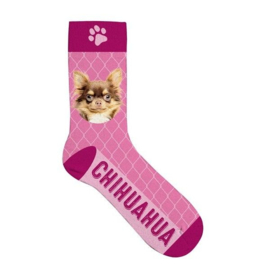 Sokken Chihuahua roze