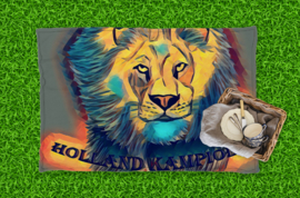 Picknickkleed Oranje leeuw Holland Kampioen
