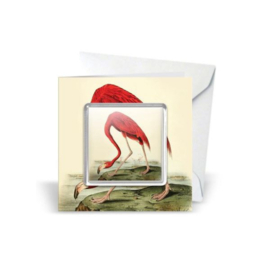 Giftcard botanical Flamingo magneet acryl