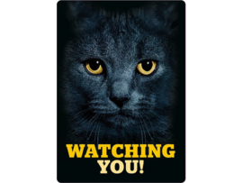 Waakbord van kat met tekst: watching you!