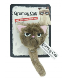 Grumpy Cat Fluffy Grumpy Cat Met Catnip