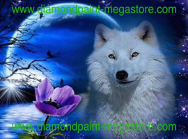 Witte Wolf bij blauw maanlicht
