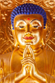 Gouden buddha