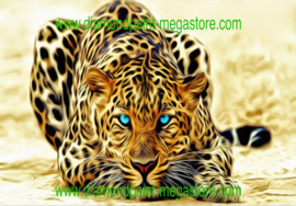 Panter met blauwe ogen