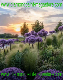 Paarse bloemen op het veld