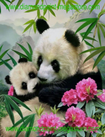 Panda met baby