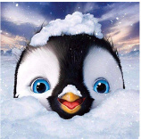 Pinguin uit de sneeuw