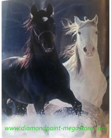Zwart en wit paard