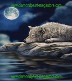 Wolf bij volle maan