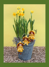 Drie Narcisgrietjes