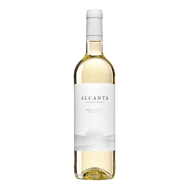 Alcanta Blanco 2020