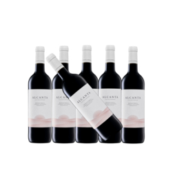 Alcanta Tinto 2020 - 6 flessen