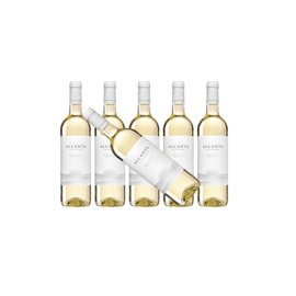 Alcanta Blanco 2020 - 6 flessen