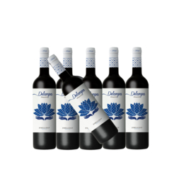 Delampa Monastrell 2021 - 6 flessen
