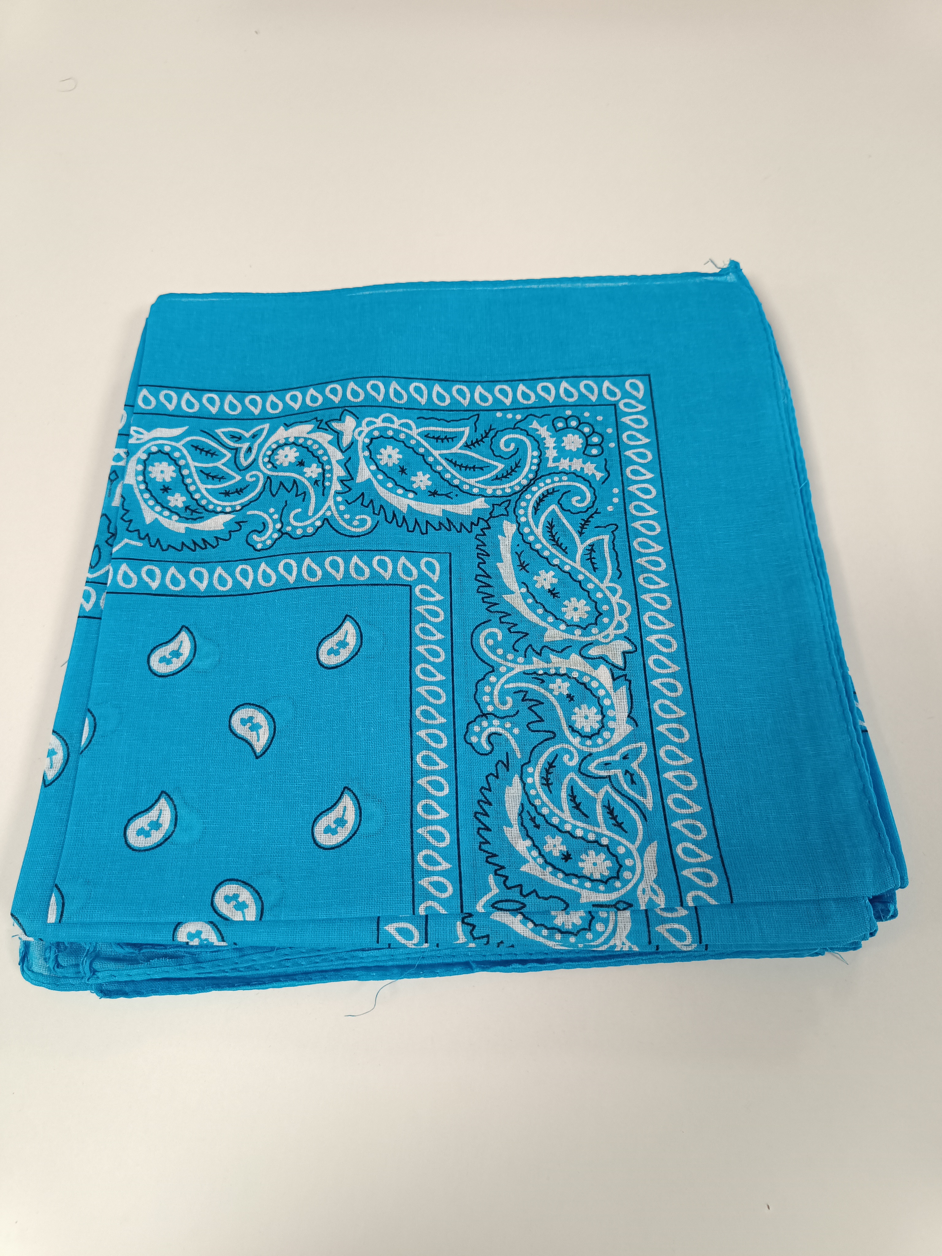 Bandana Blauw