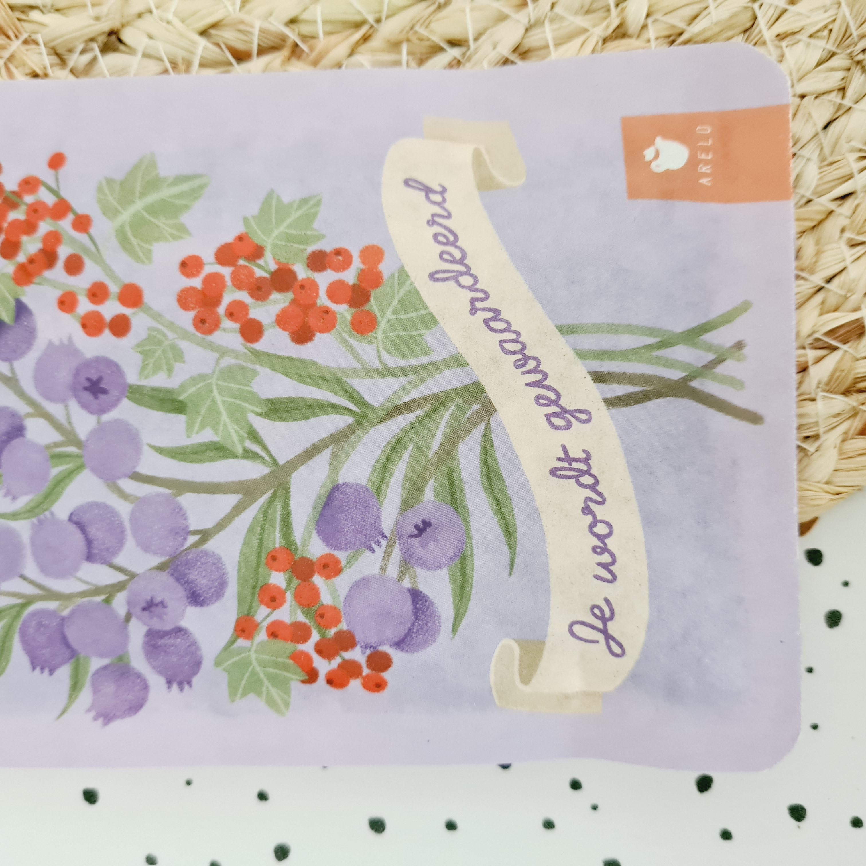 14. Complimenten thee & blockie