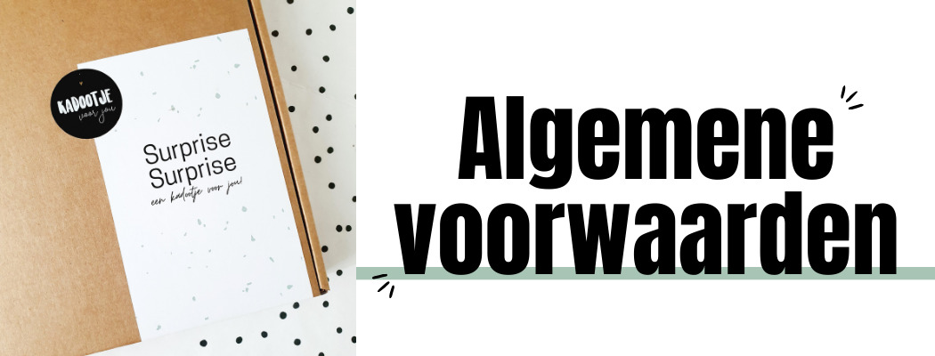 Algemene voorwaarden