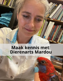 Maak kennis met: Dierenarts Mardou