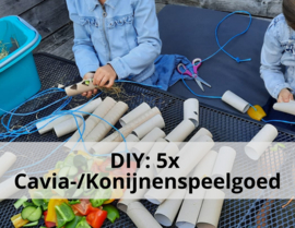 Do it yourself: 5x Cavia-/Konijnenkoekjes