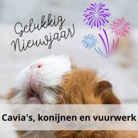 Cavia's, konijnen en vuurwerk