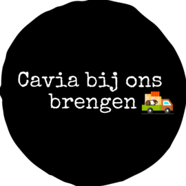 Cavia bij ons brengen? 