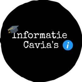 Informatie Cavia's