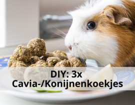 Do it yourself: 3x Cavia-/Konijnenkoekjes