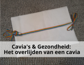 Cavia's & Gezondheid: Het overlijden van een cavia