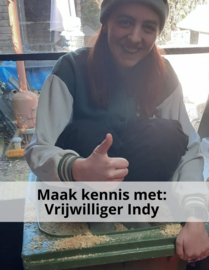 Maak kennis met: Vrijwilliger Indy!