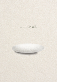 Junior WIT