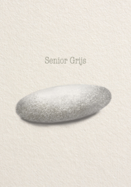 Senior GRIJS