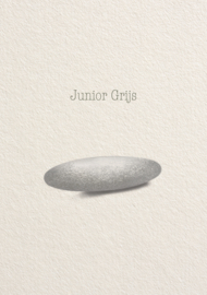 Junior GRIJS