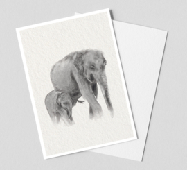 OLIFANT