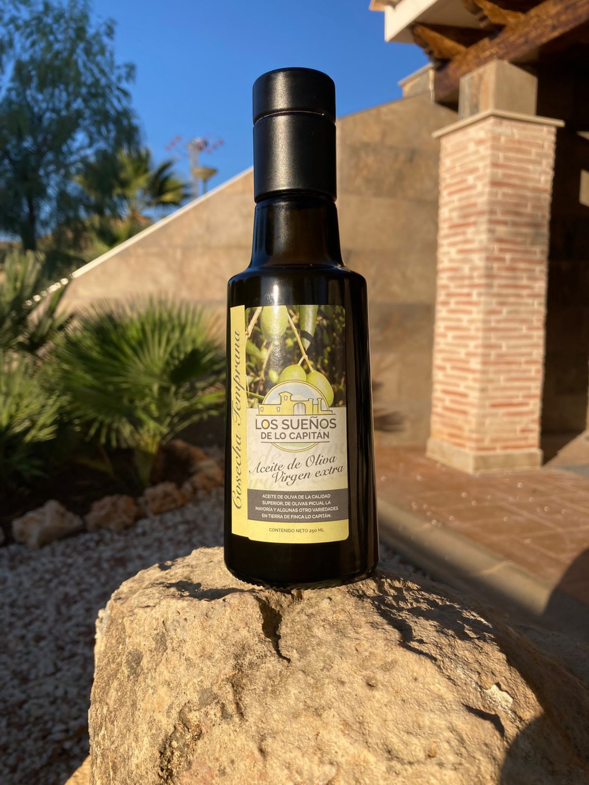 Aceite de Oliva Virgen Extra  Arbequina oogst 24/25 - 250 ml