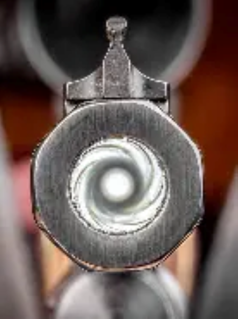 real avid bore light