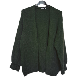 Vest groen