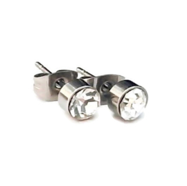 Stainless steel oorsteker met zirkonia - 5mm - transparant