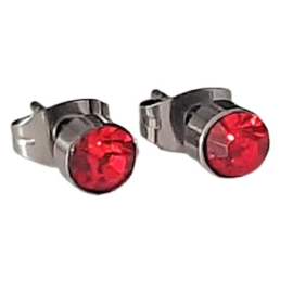 Stainless steel oorsteker met zirkiona - 5mm - rood