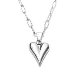 Stainless steel Halsketting Zilverkleur of Goudkleur - Hart