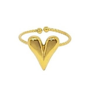 Stainless Steel Ring Hart - verstelbaar