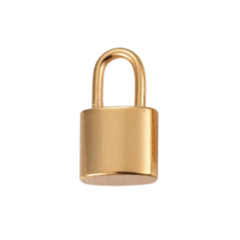 RVS hangslot goudkleur of zilverkleur hanger 17x10x4mm