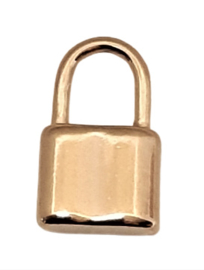RVS Hangslot hanger goudkleur of zilverkleur 22x15x4mm