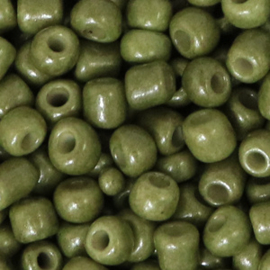 Glasrocaille 4mm (6.0)  Sage green  - Per zakje ca 16 gram