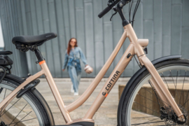 Cortina E Tide Ebike met Bosch middenmotor